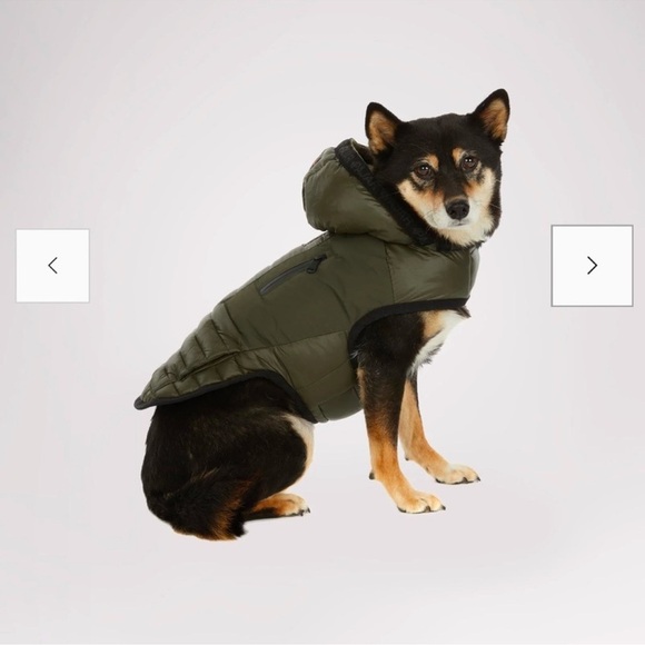Pajar Pup off-white dog jacket with hood size large (NWT) - Picture 7 of 9